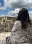 Scialle_Matera_Texture_retro